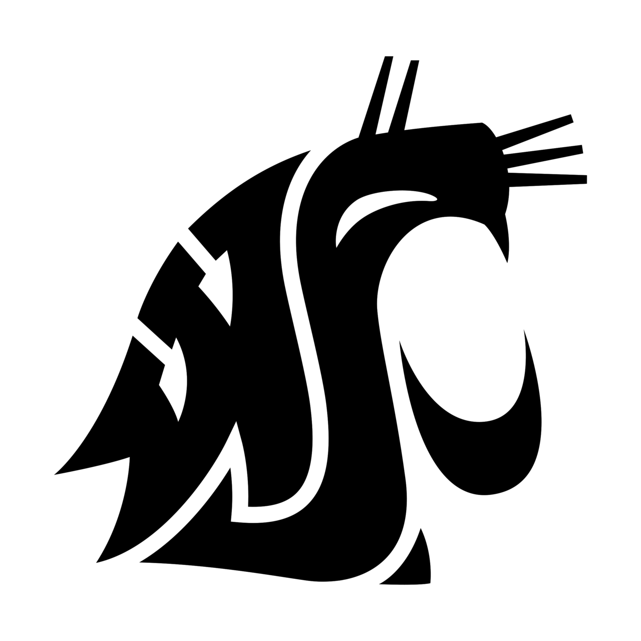 Washington State University
